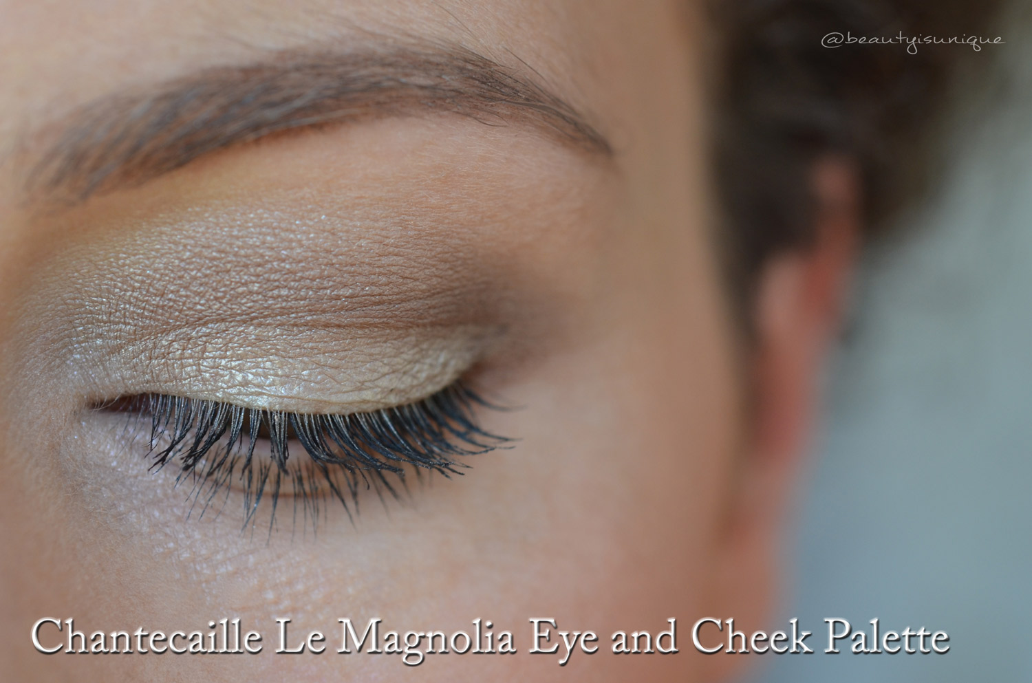 Chantecaille-magnolia-palette-swatches