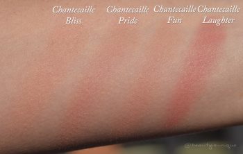 chantecaille-pride-swatches-cheek-shade