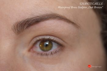 chantecaille-waterproof-brow-definer-oak-brown