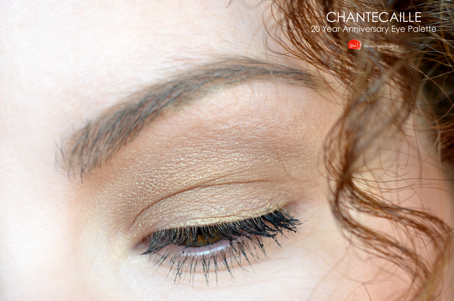 chantecaille-20-year-anniversary-palette-swatches