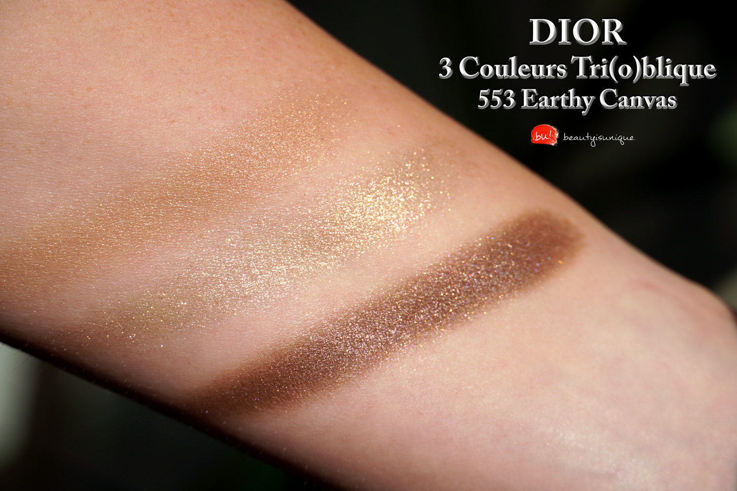 Dior-earthy-canvas-553-swatches