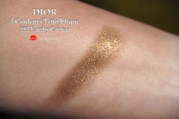 Dior-earthy-canvas-553-swatches