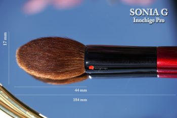 Sonia-g-inochige-pro-brush
