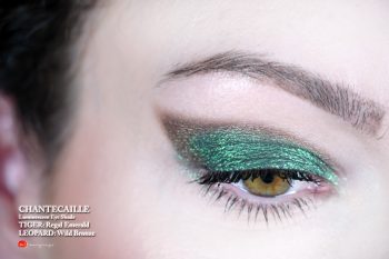chantecaille-luminescent-eye-shade-leopard-wild-bronze