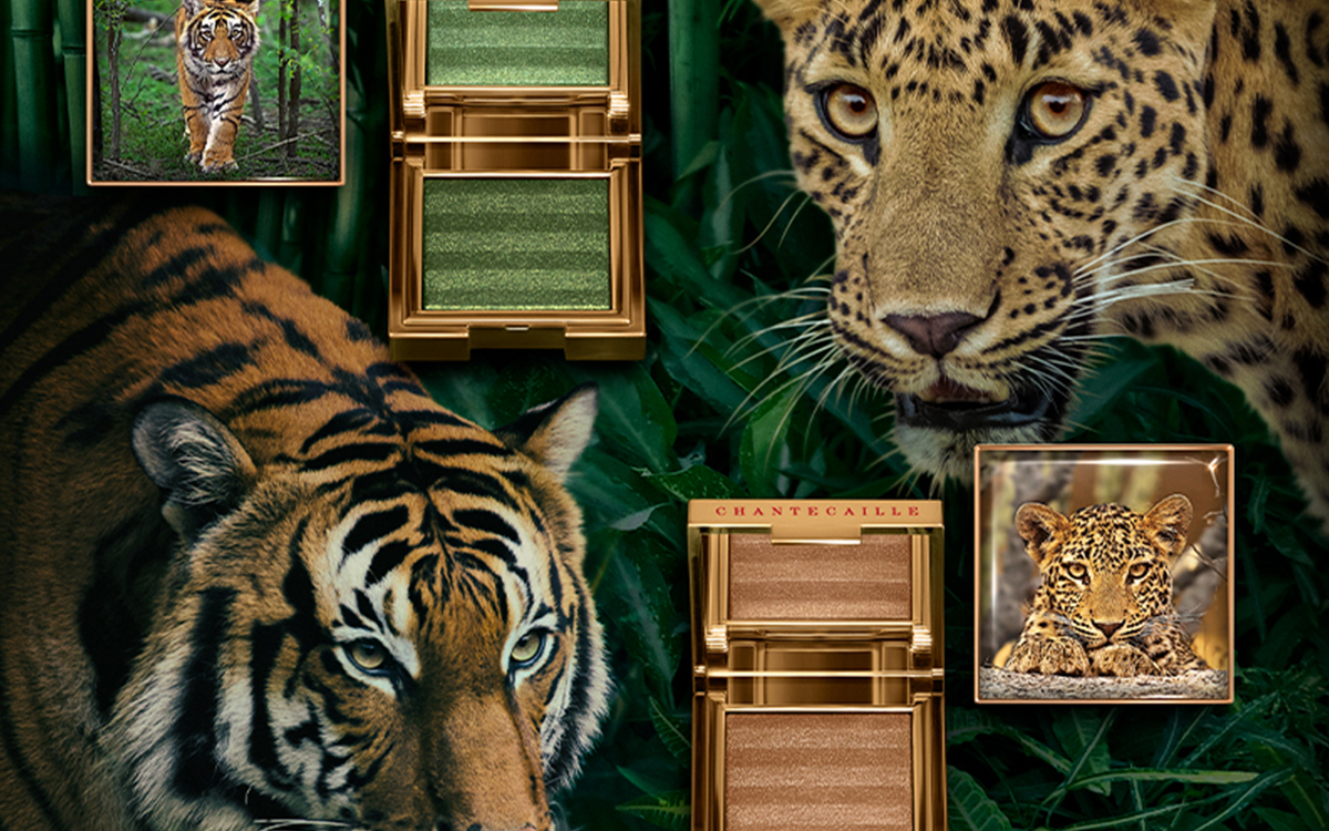 chantecaille-luminescent-eye-shade-leopard-wild-bronze