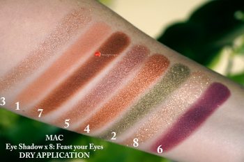 mac-feast-your-eyes-eye-shadow-x-8-swatches