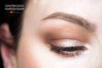chantecaille-giraffe-eye-quartet-swatches