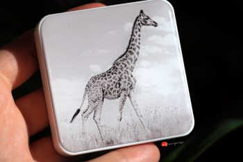 chantecaille-giraffe-eye-quartet